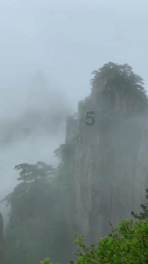 杜月笙大兴土木建祠堂,社会名流纷纷道贺送礼