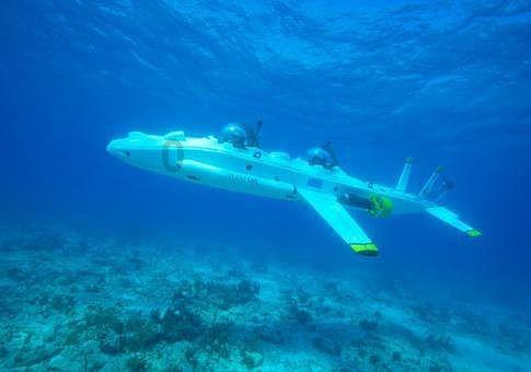 深入了解冬季吃什么东西可以美容养颜?,知识星球平台解析专家视角