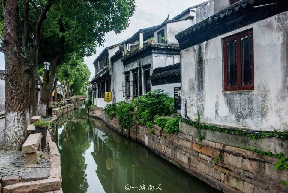 春雨直播app